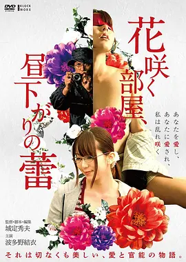 《疯狂的石头》封套风格封面，货架 A 面第三张
